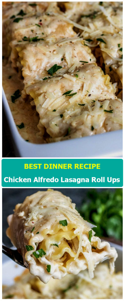 Chicken Alfredo Lasagna Roll Ups | superfashion.US