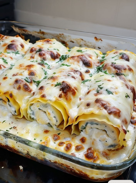 A casserole dish filled with golden, bubbling Chicken Alfredo Lasagna Roll-Ups, fresh from the oven.