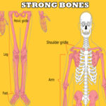 STRONG BONES