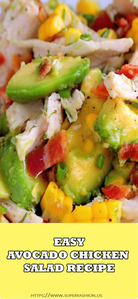 AVOCADO CHICKEN SALAD RECIPE | superfashion.us